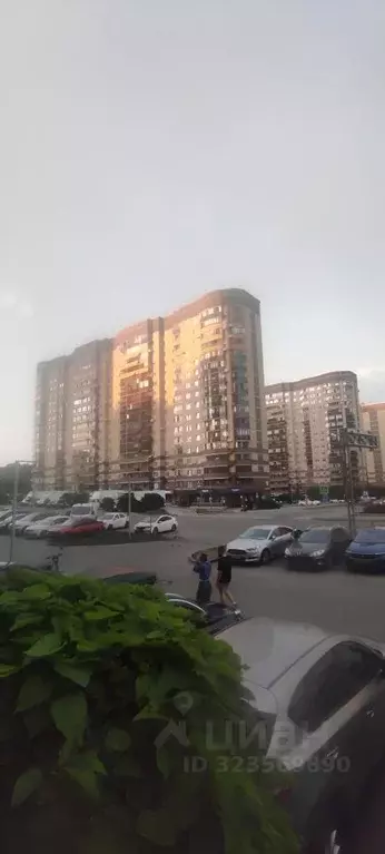 2-к кв. Воронежская область, Воронеж Троицкий кв-л, Олимпийский ... - Фото 2