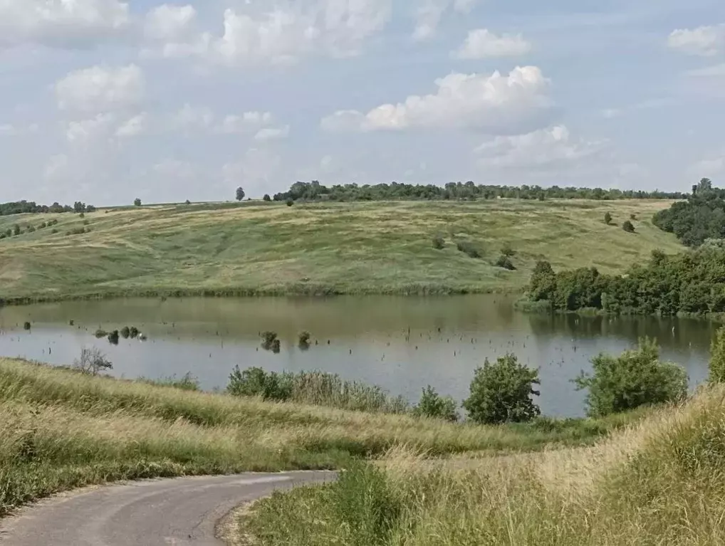 Участок в Курская область, Золотухинский район, Тазовский сельсовет, ... - Фото 0