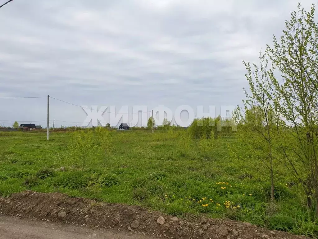 Участок в Новосибирская область, Коченевский район, Урожайный-2 СНТ  ... - Фото 2