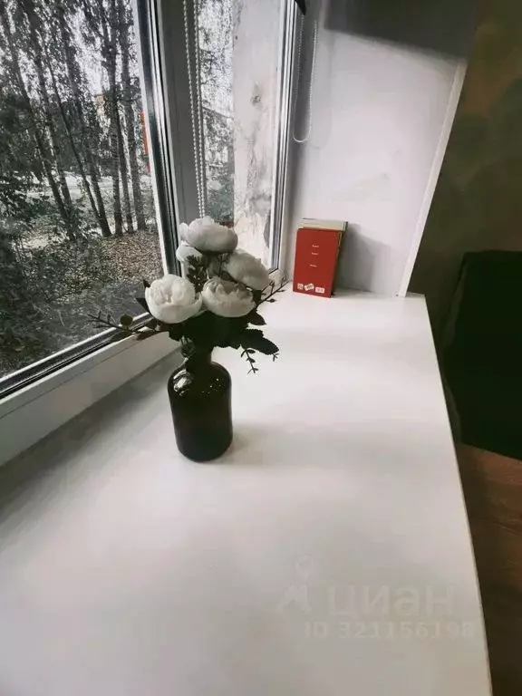 Студия Ярославская область, Ярославль ул. Победы, 51 (15.0 м) - Фото 2