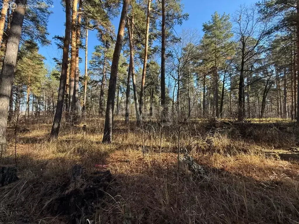 Участок в Бессоновский район, посёлок Подлесный, КП Лесное озеро (6 м) - Фото 2