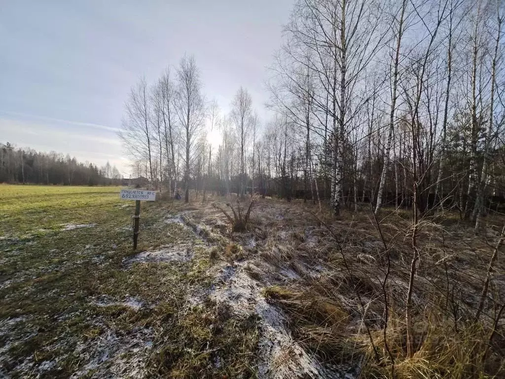 Участок в Московская область, Рузский муниципальный округ, д. Лобково ... - Фото 2