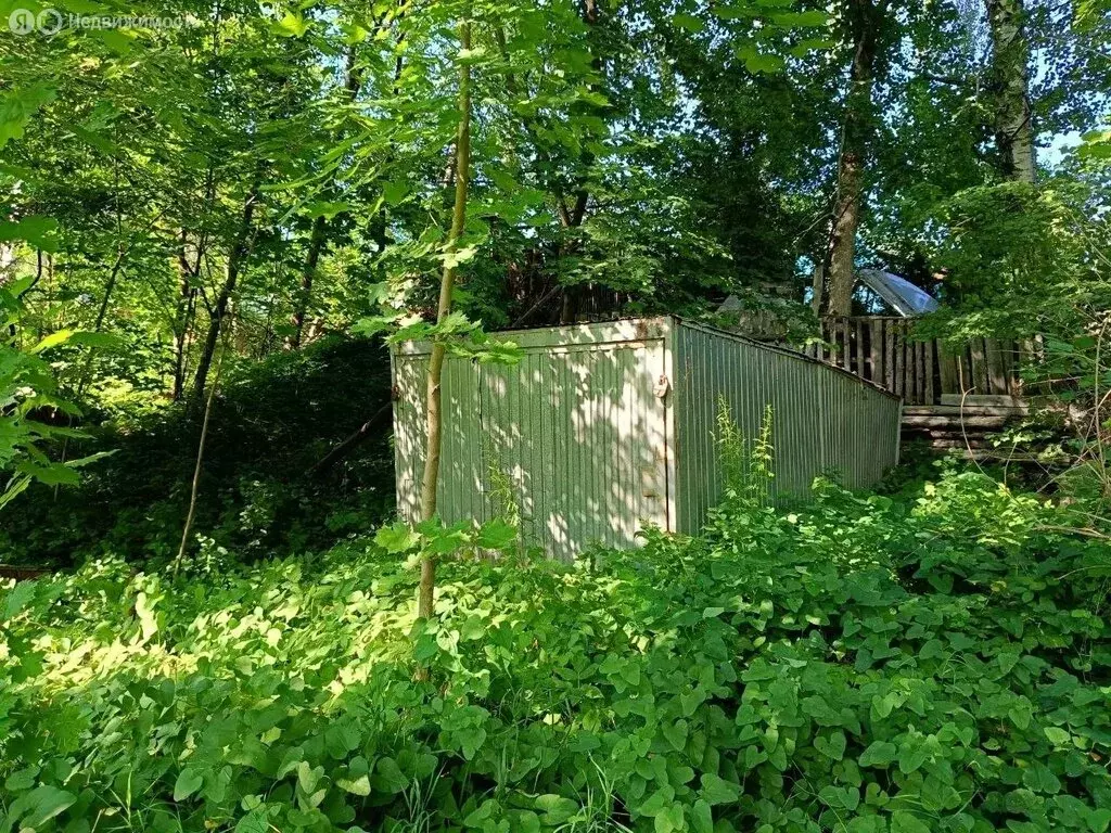 Участок в Владимир, коллективный сад № 1, 26 (4.3 м) - Фото 1