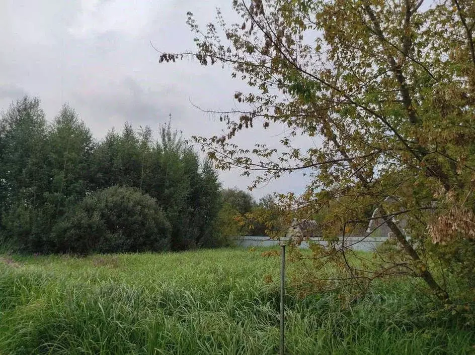 Участок в Воронежская область, с. Новая Усмань ул. Набережная (12.0 ... - Фото 0