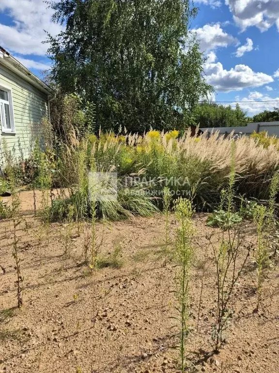 Участок в Московская область, Истра муниципальный округ, д. Чесноково ... - Фото 2