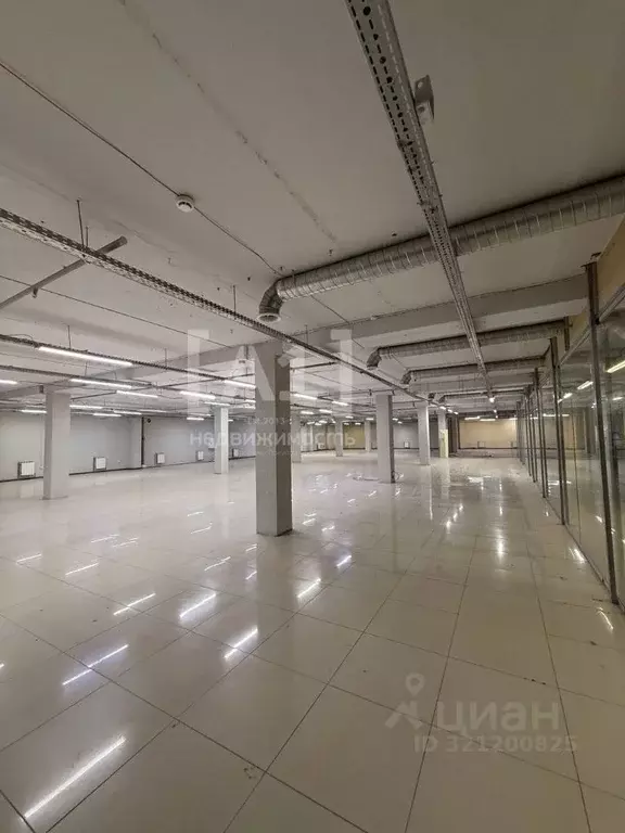 Торговая площадь в Челябинская область, Челябинск ул. Чайковского, 60 ... - Фото 2