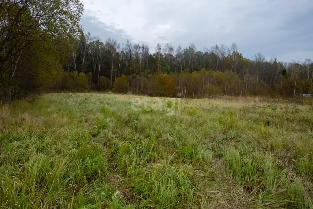 Участок в Калужская область, Калуга городской округ, д. Колюпаново  ... - Фото 1