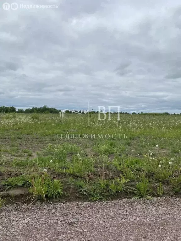 Участок в посёлок Высокоключевой, Дубовая аллея (10 м) - Фото 2