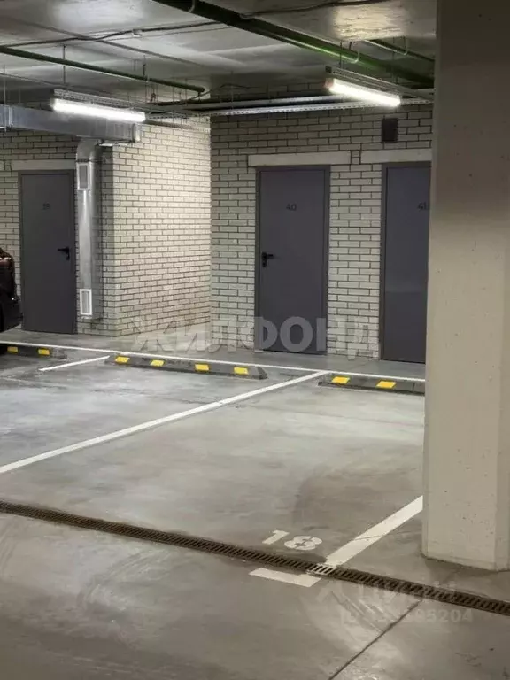 Помещение свободного назначения в Новосибирская область, Новосибирск ... - Фото 2