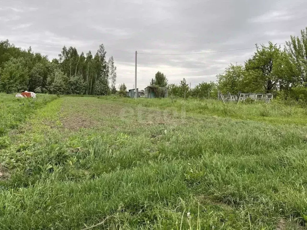 Участок в Брянская область, Брянский район, Добрунское с/пос, с. ... - Фото 1
