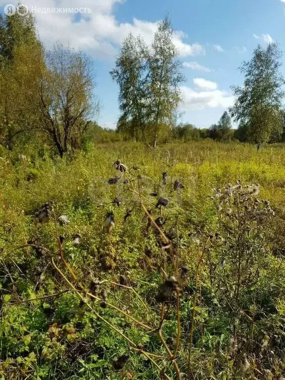 Участок в Кубовинский сельсовет, ДНП Содружество (10 м) - Фото 1