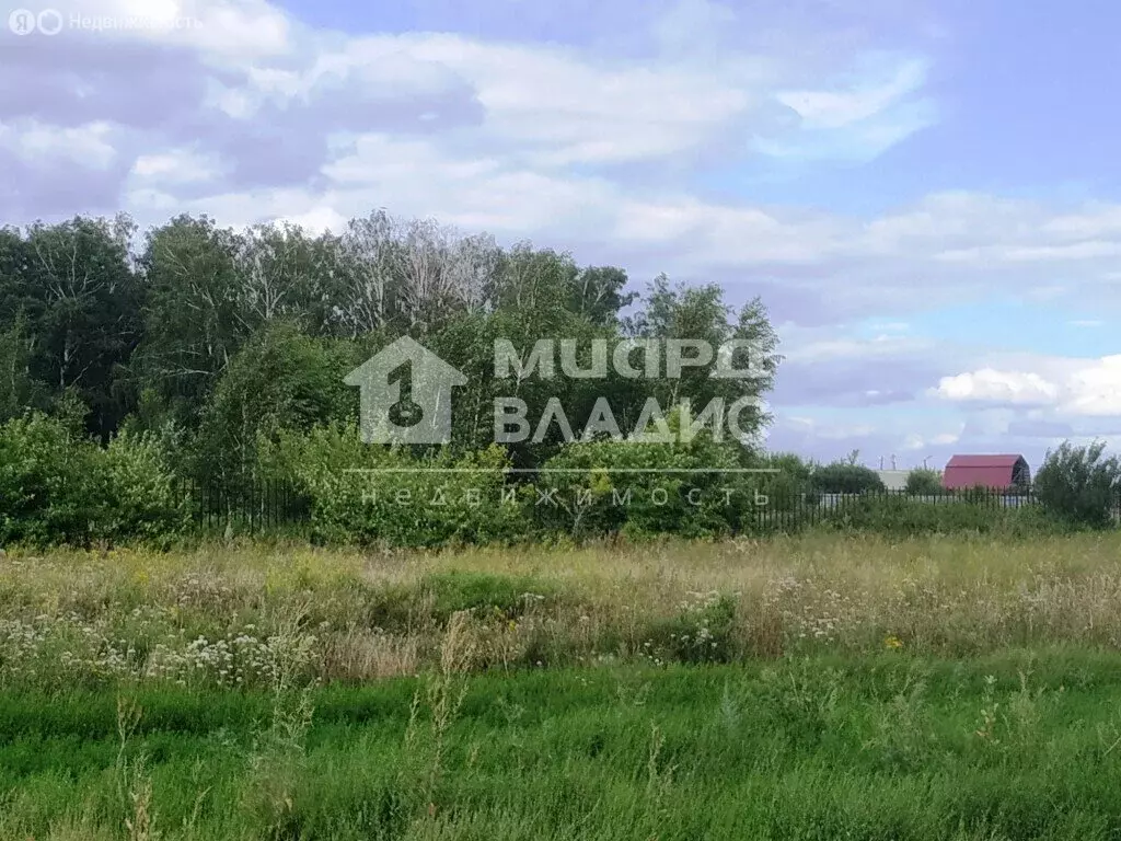 Участок в Омский район, Магистральное сельское поселение, деревня ... - Фото 1