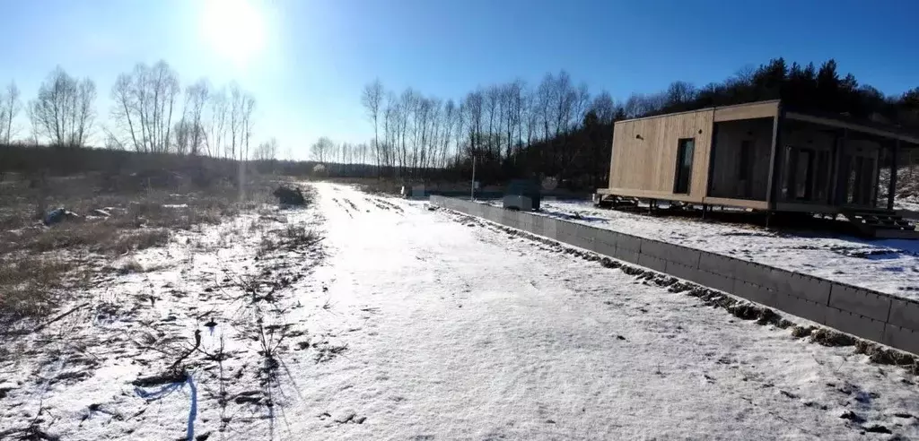 Участок в Воронежская область, Рамонский район, Березовское с/пос, д. ... - Фото 1