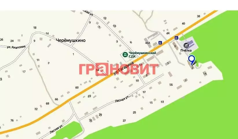 Дом в село Черёмушкино, Лесная улица, 2 (221.2 м) - Фото 1