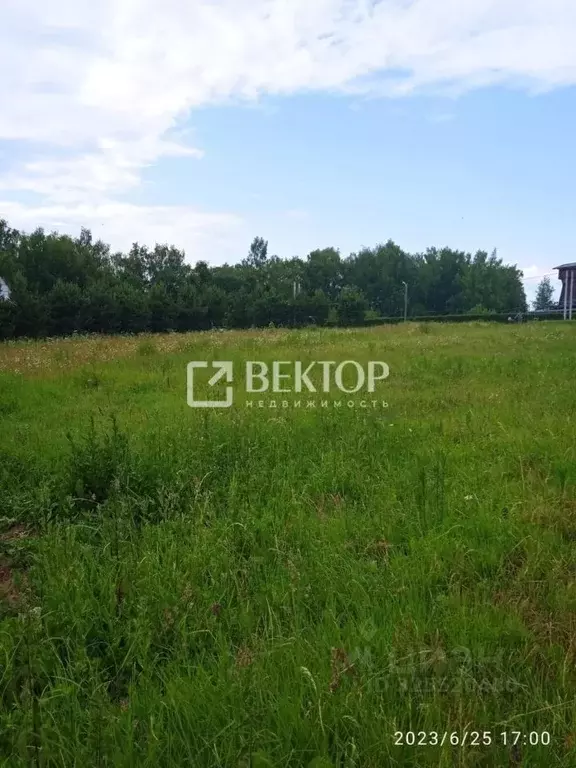 Участок в Костромская область, Красносельский район, Прискоковское ... - Фото 2