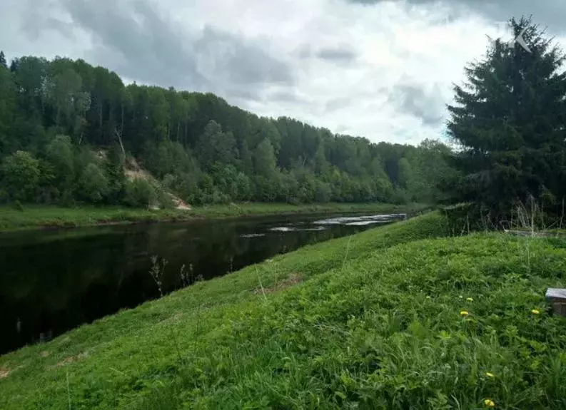 Участок в Ленинградская область, Волховский район, Хваловское с/пос, ... - Фото 1