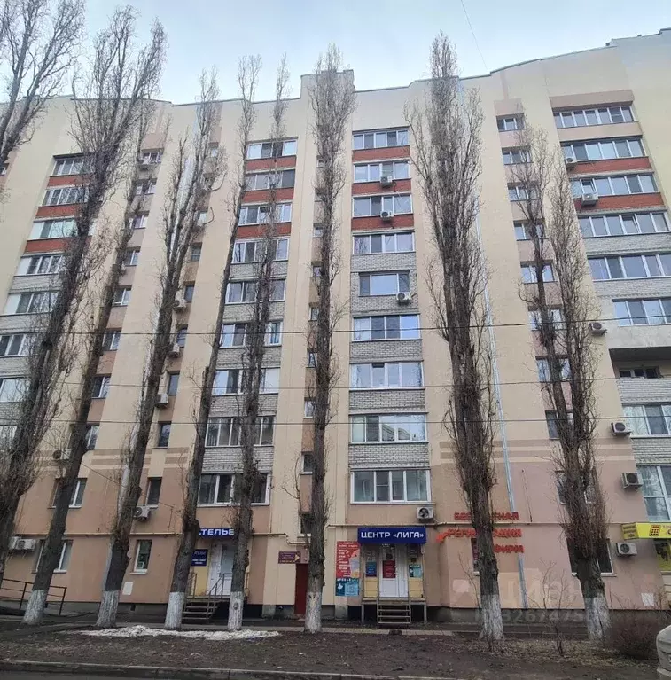 Офис в Саратовская область, Саратов ул. Имени П.Т. Пономарева, 21 (372 ... - Фото 2