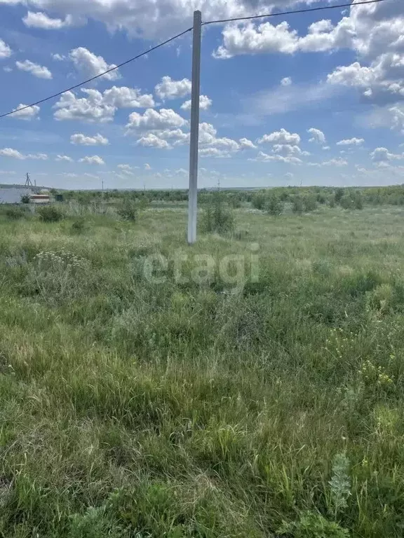 Участок в Белгородская область, Алексеевка Нижняя ул. (15.0 сот.) - Фото 1