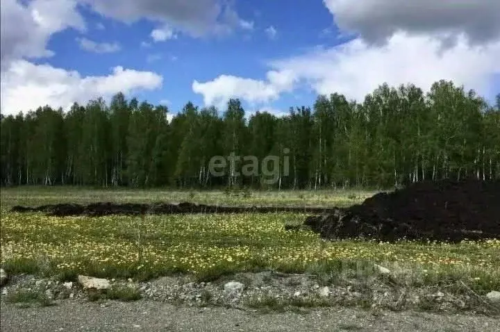 Участок в Свердловская область, Белоярский муниципальный округ, д. ... - Фото 0