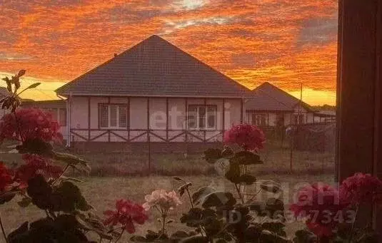 Дом в Курская область, Октябрьский район, Черницынский сельсовет, д. ... - Фото 1