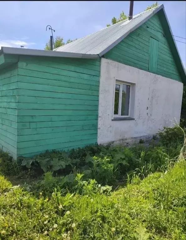 Дом в Новосибирская область, Черепаново ул. Строителей, 13 (32 м) - Фото 1