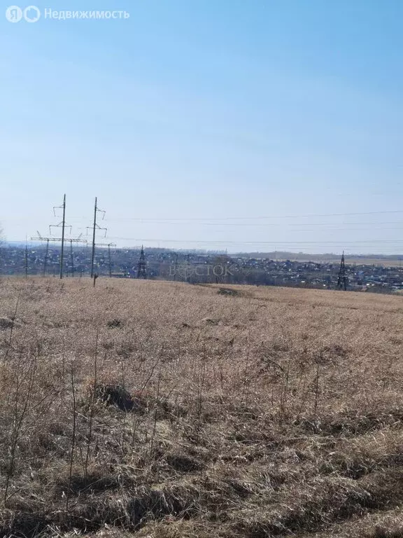 Участок в Солонцовский сельсовет, садоводческое некоммерческое ... - Фото 1