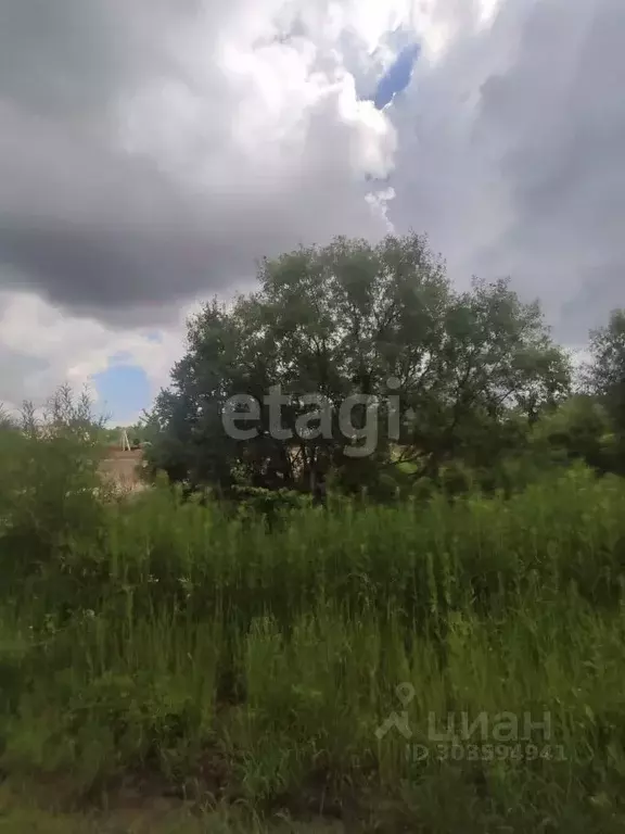 Участок в Амурская область, Благовещенск Вишенка СТ,  (6.8 сот.) - Фото 0