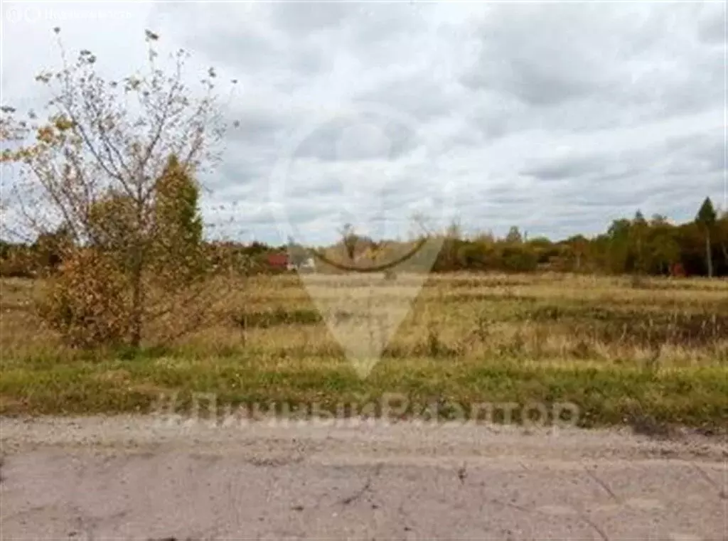 Участок в Ключ, Школьная улица (2550 м) - Фото 1