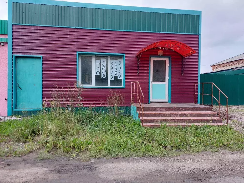 Помещение свободного назначения в Новосибирская область, Татарск ... - Фото 1