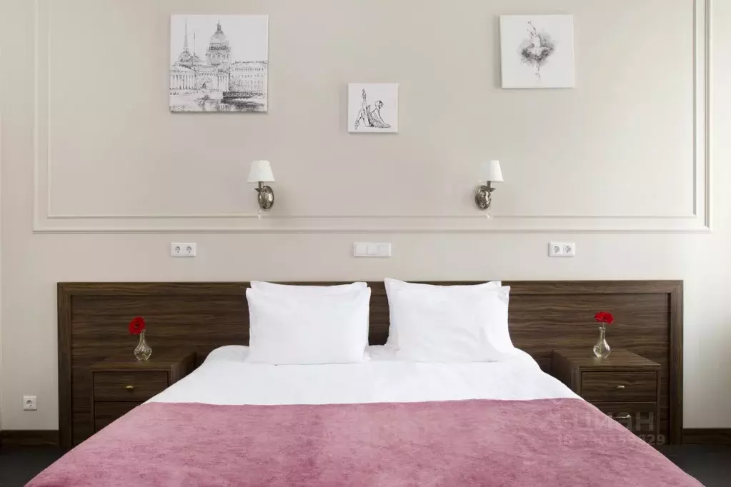 Комната Санкт-Петербург ул. Чайковского, 55 (23.0 м) - Фото 2