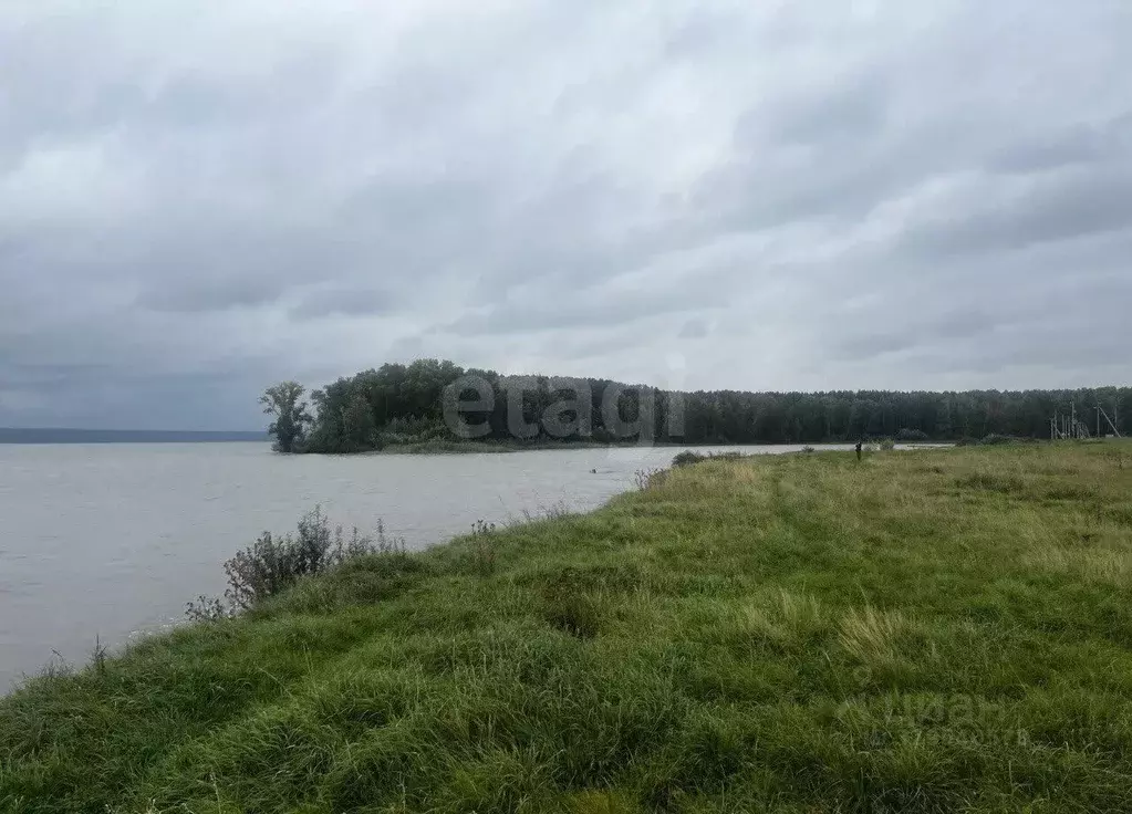 Участок в Новосибирская область, Ордынский район, с. Красный Яр  ... - Фото 1