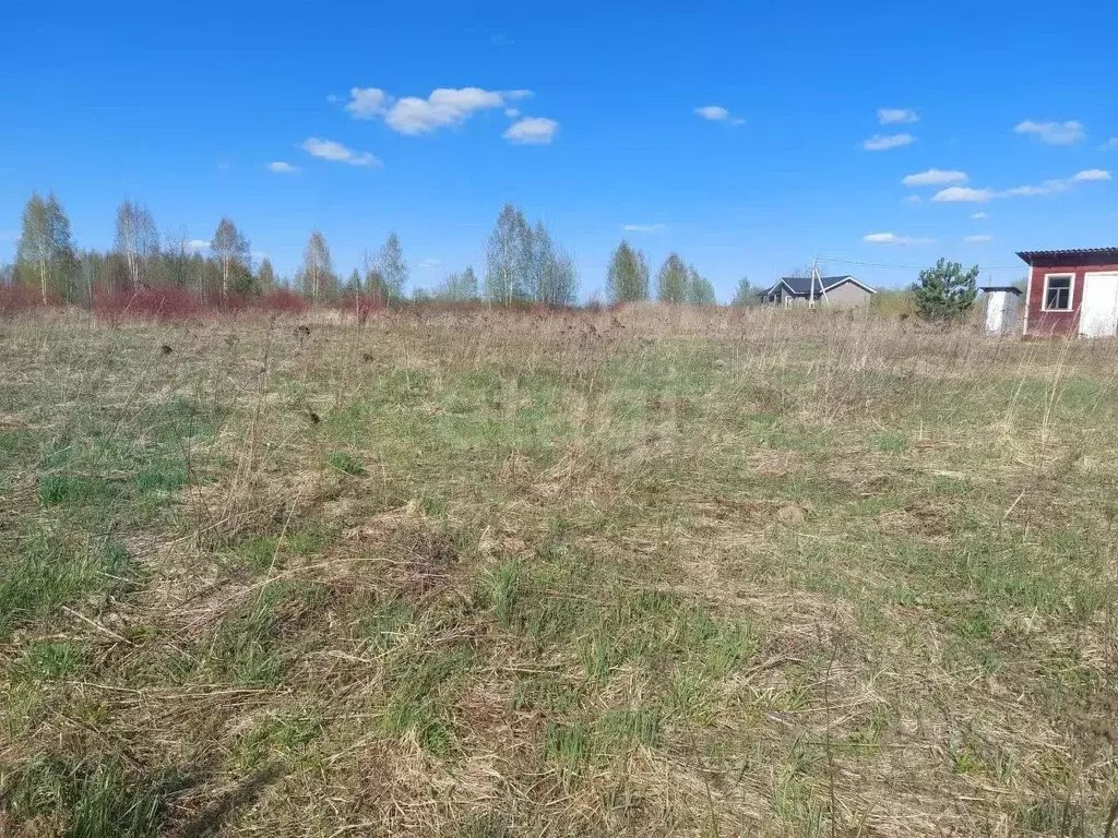 Участок в Костромская область, Костромской район, Апраксинское с/пос, ... - Фото 2