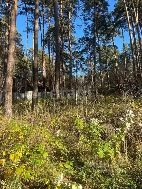 Участок в Новосибирская область, Новосибирск Европейский кп, ул. ... - Фото 1