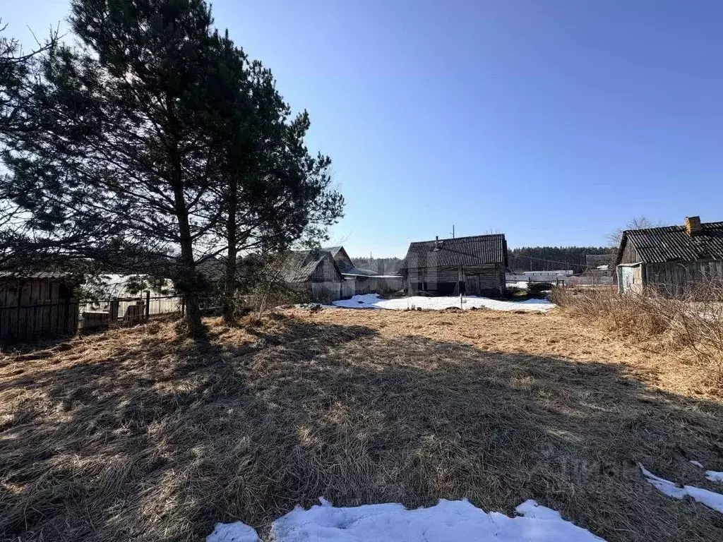 Дом в Брянская область, Карачевский район, Мылинское с/пос, д. Бабинка ... - Фото 1