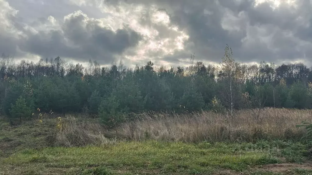 Участок в Московская область, Ступино пер. 1-й Знаменский (10.0 сот.) - Фото 1