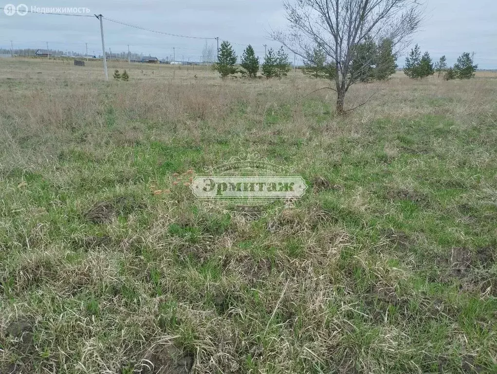 Участок в Курган, Зайково, Новая улица (14.8 м) - Фото 1