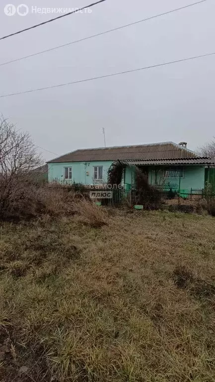Дом в село Камышевка, Центральная улица, 74 (72.4 м) - Фото 0