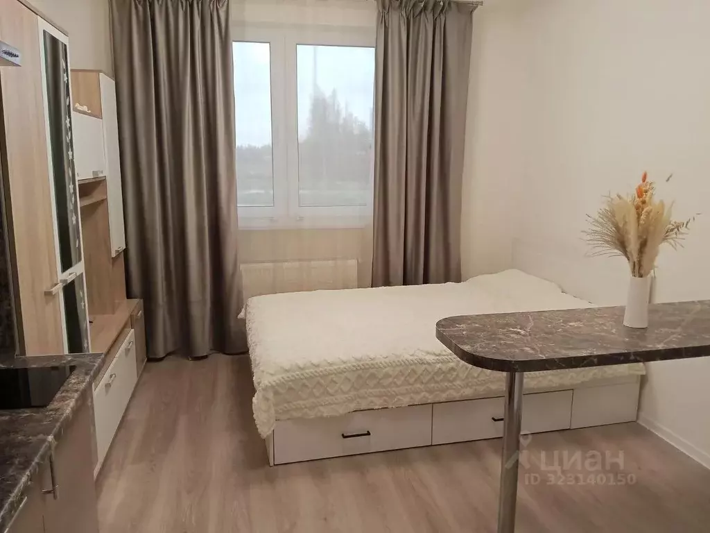 Студия Санкт-Петербург ул. Пахомовская, 12к1 (19.2 м) - Фото 1