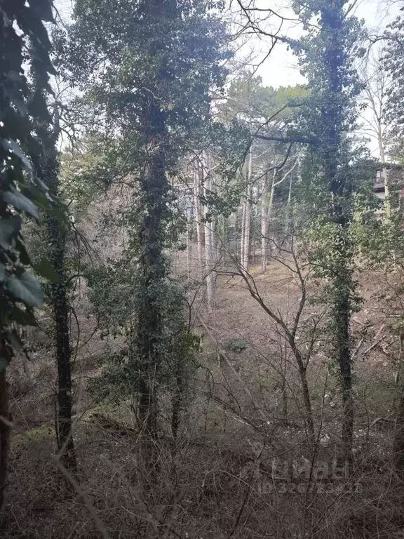 Участок в Крым, Ялта муниципальный округ, Советское пгт 17 (11.97 ... - Фото 1