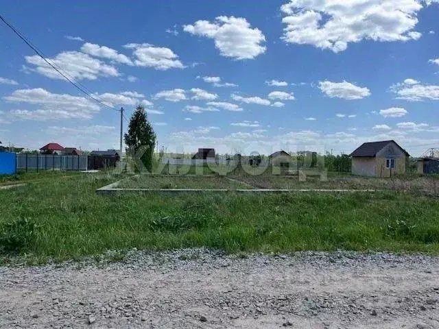 Участок в Новосибирская область, Новосибирский район, Кубовинский ... - Фото 0