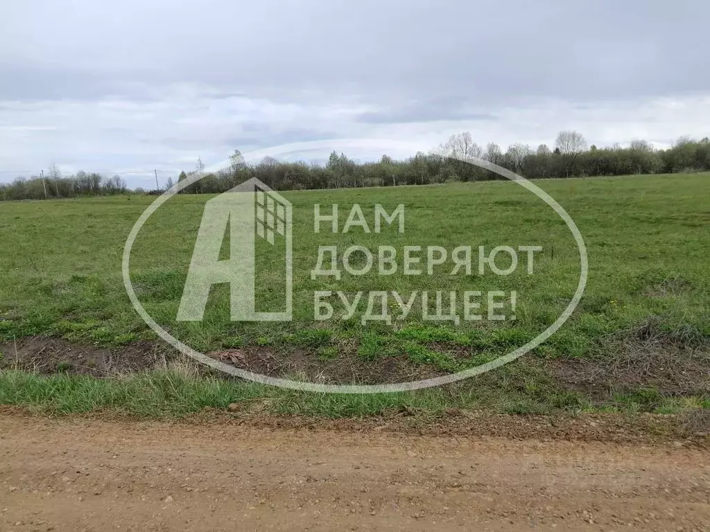 Участок в Пермский край, Чернушинский муниципальный округ, с. Сульмаш ... - Фото 1