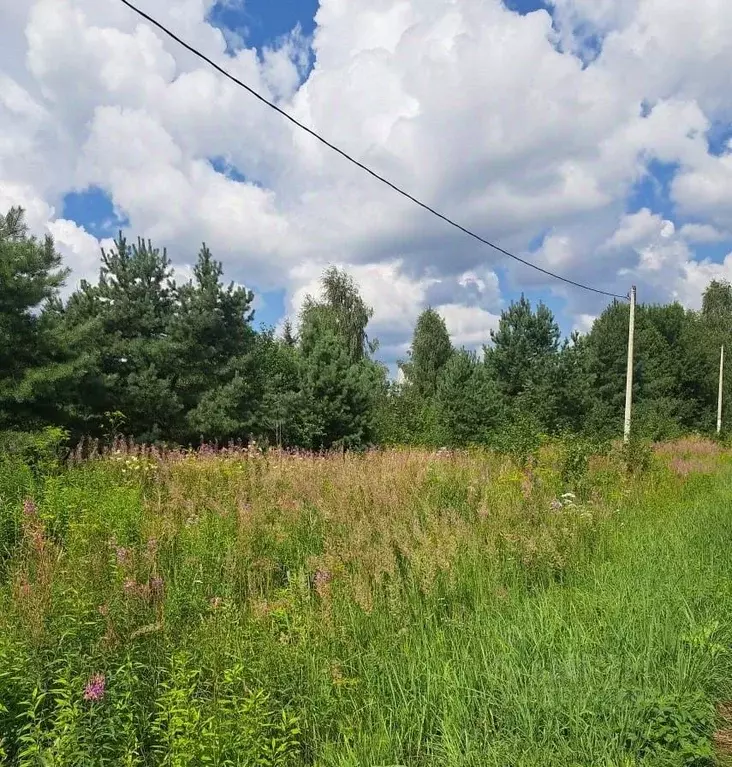 Участок в Московская область, Можайский муниципальный округ, д. ... - Фото 1