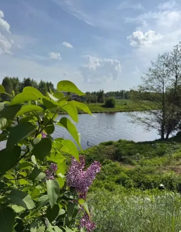 Дом в Московская область, Богородский городской округ, д. Пешково 9 ... - Фото 1