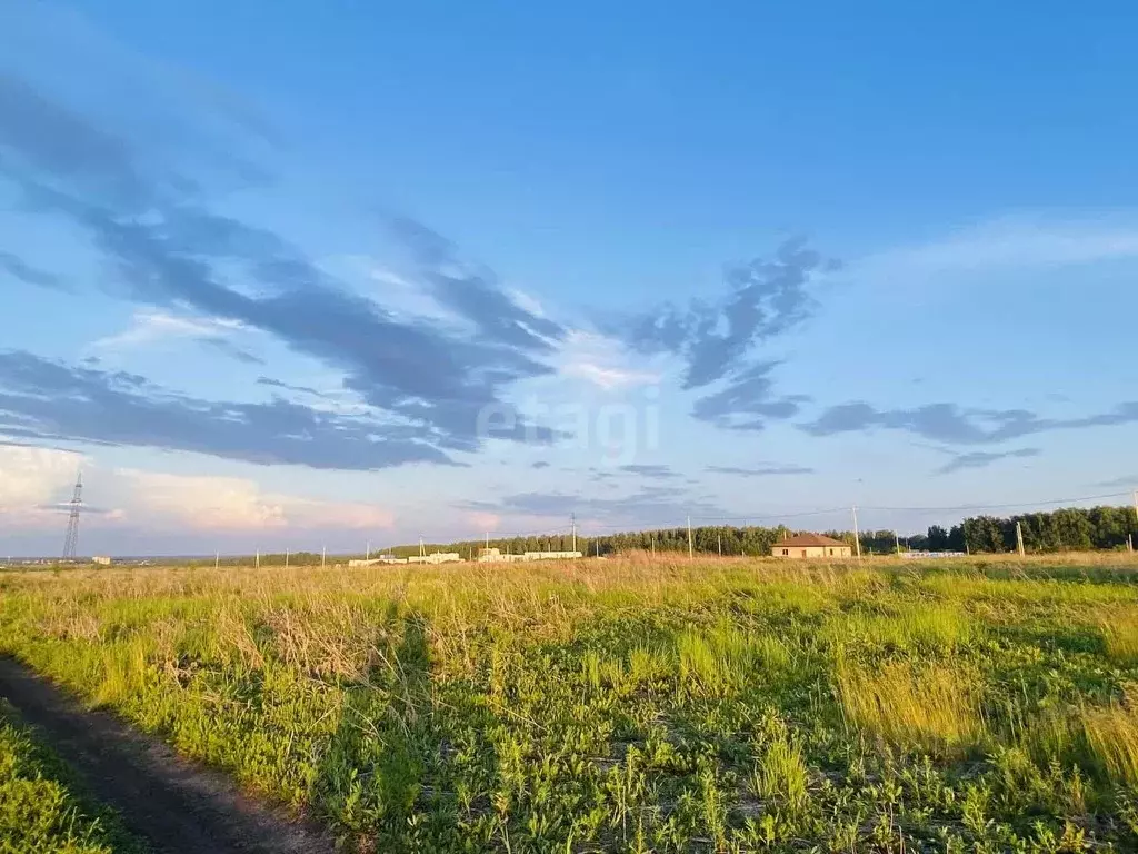 Участок в Липецкая область, Липецкий муниципальный округ, с. Ленино  ... - Фото 1