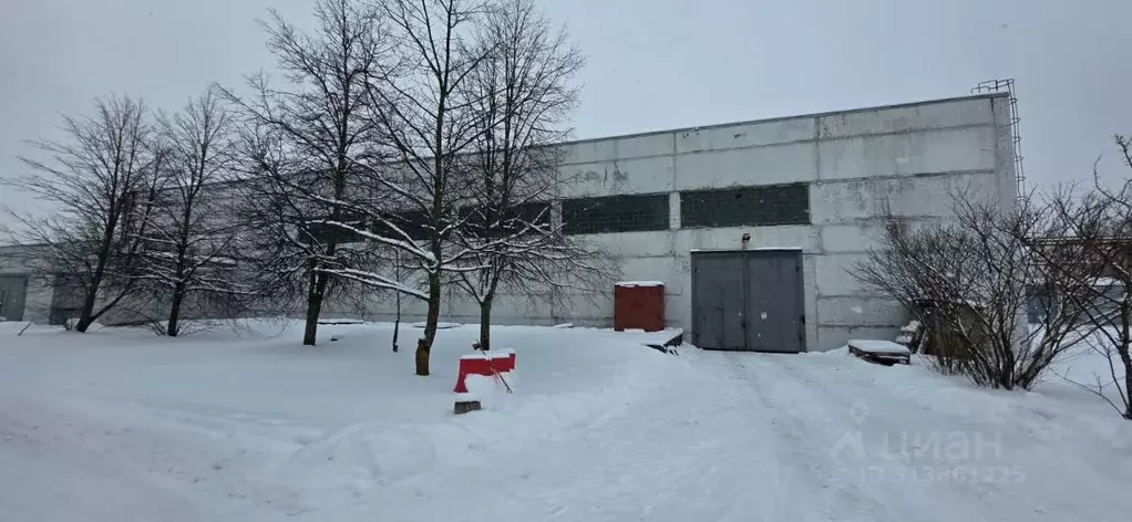 Помещение свободного назначения в Ленинградская область, Всеволожск ... - Фото 0