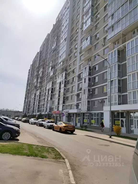 Торговая площадь в Краснодарский край, Краснодар ул. Западный обход, ... - Фото 2