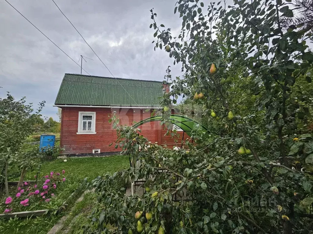 Дом в Вологодская область, Сокольский муниципальный округ, д. Большой ... - Фото 1