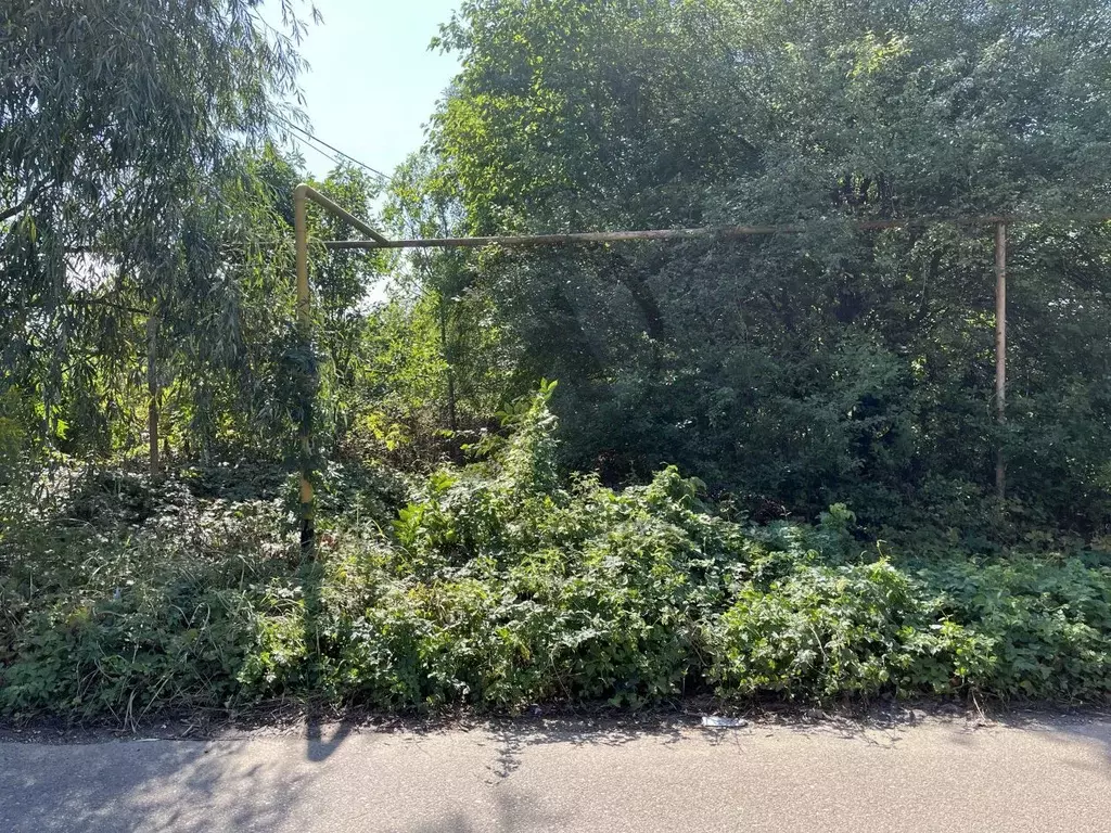 Участок в Краснодарский край, Апшеронск Базовый пер. (6.0 сот.) - Фото 2