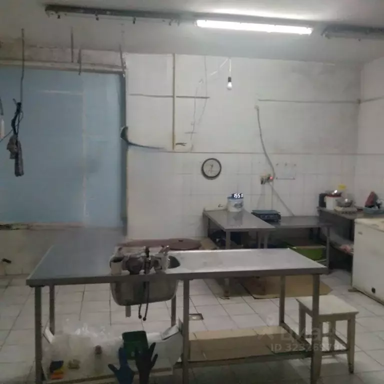 Помещение свободного назначения в Рязанская область, Рязань ул. Щорса, ... - Фото 2