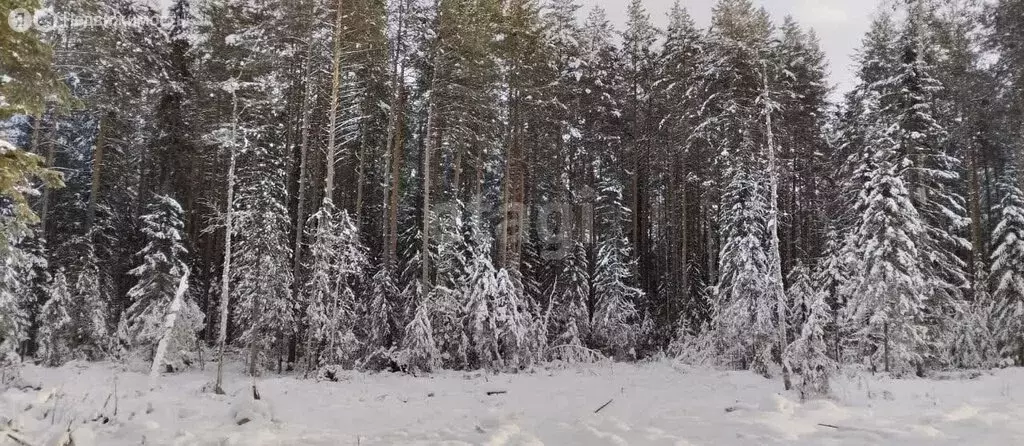 Участок в село Кебезень, Набережная улица (17.5 м) - Фото 0